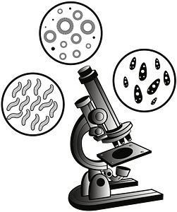 Microscope and virus