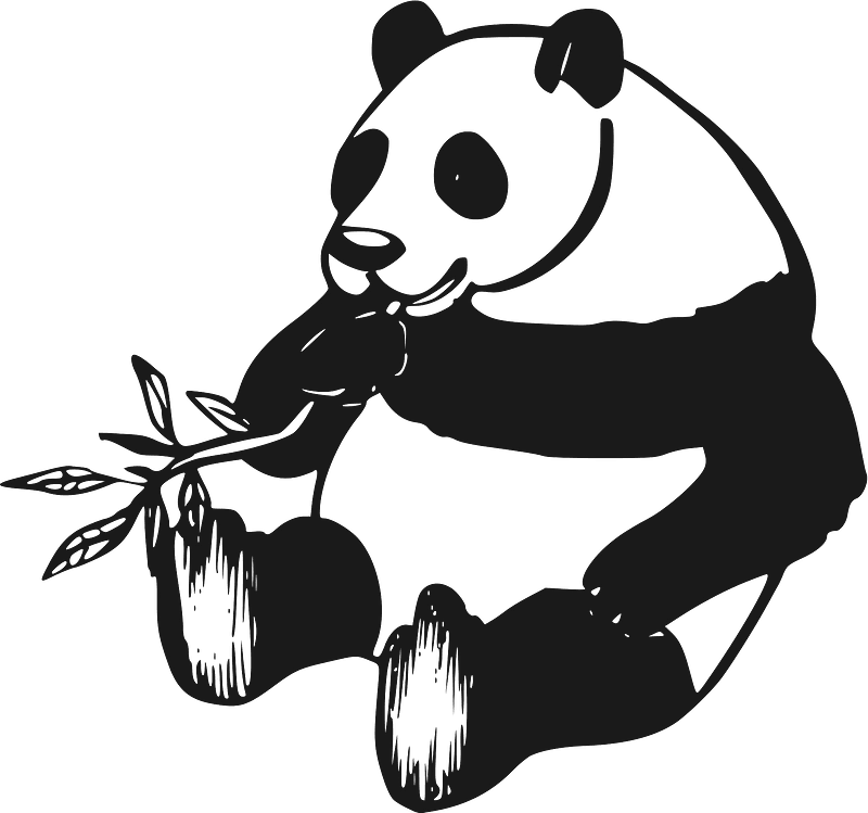Panda with bamboo branch - black and white