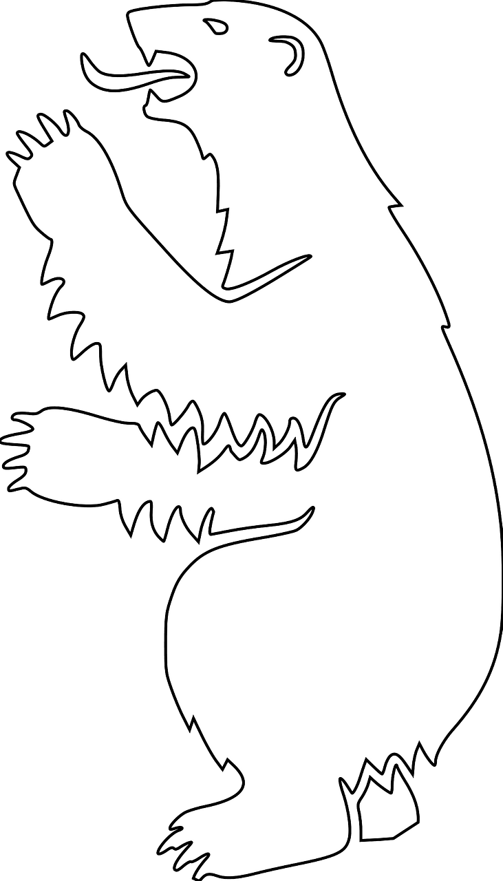 Polar bear - outline