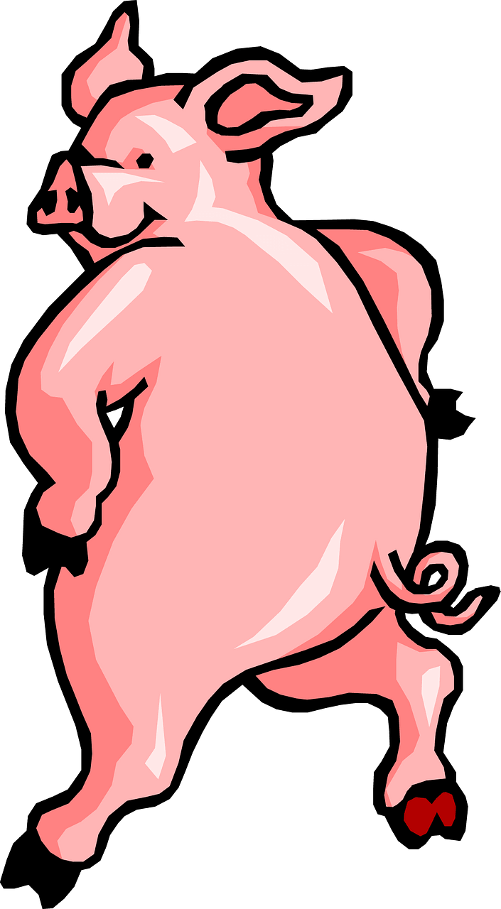 Dancing pig