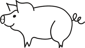 Pig - black and white
