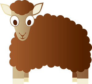 Brown sheep