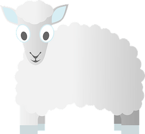 White sheep