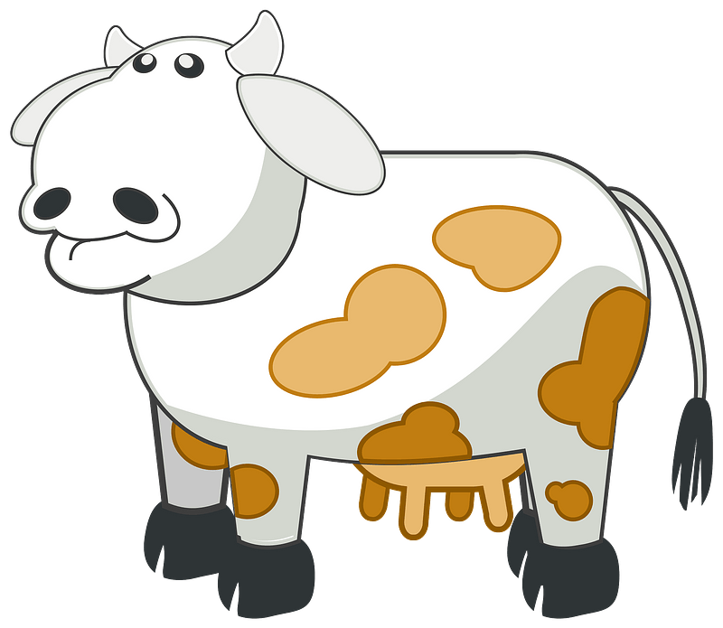 White spotted cow