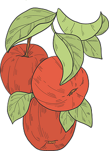 Red apples on a branch