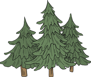 Evergreen trees