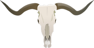 Longhorn skull