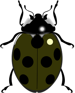 Green ladybug