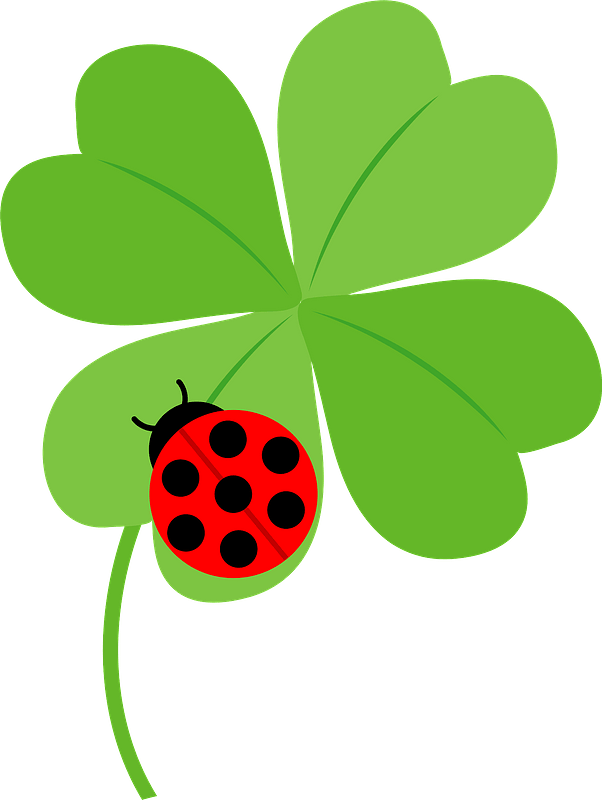 Ladybug on leaf clover