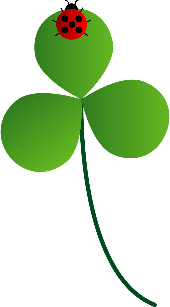 Ladybug on leaf clover