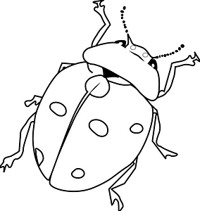 Ladybug - black and white
