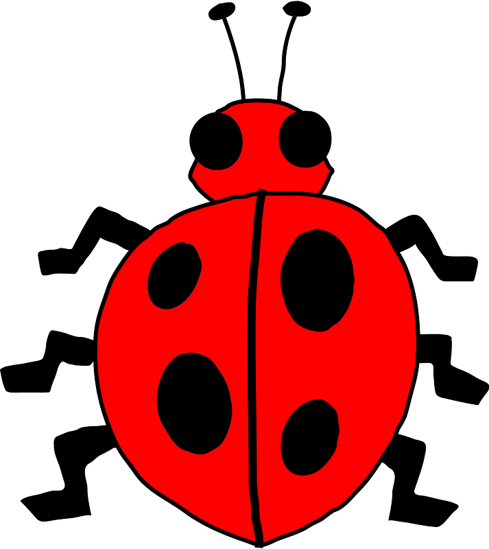 瓢蟲