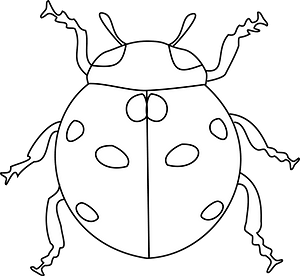 Ladybug - black and white