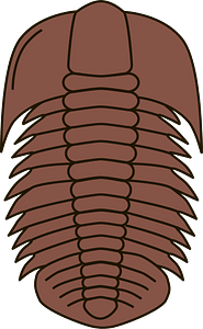 Trilobite fossil - Free vector clipart images on creazilla.com