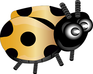 Ladybug kuning