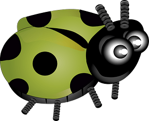 Green ladybug