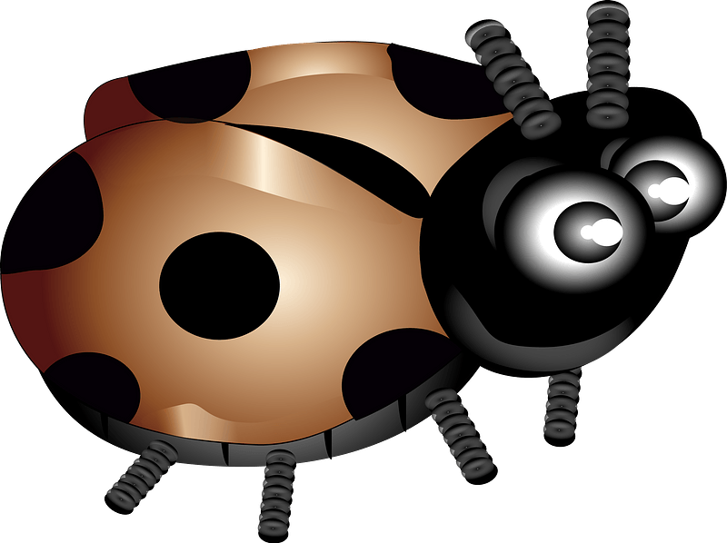 Brown ladybug