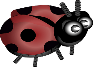 Dark red ladybug