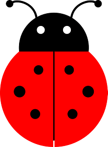 Ladybug