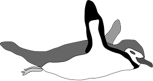 Swimming penguin
