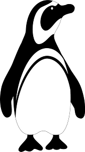Black and white penguin