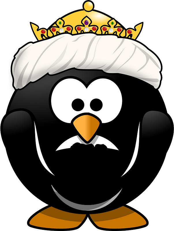 Penguin in oriental costume