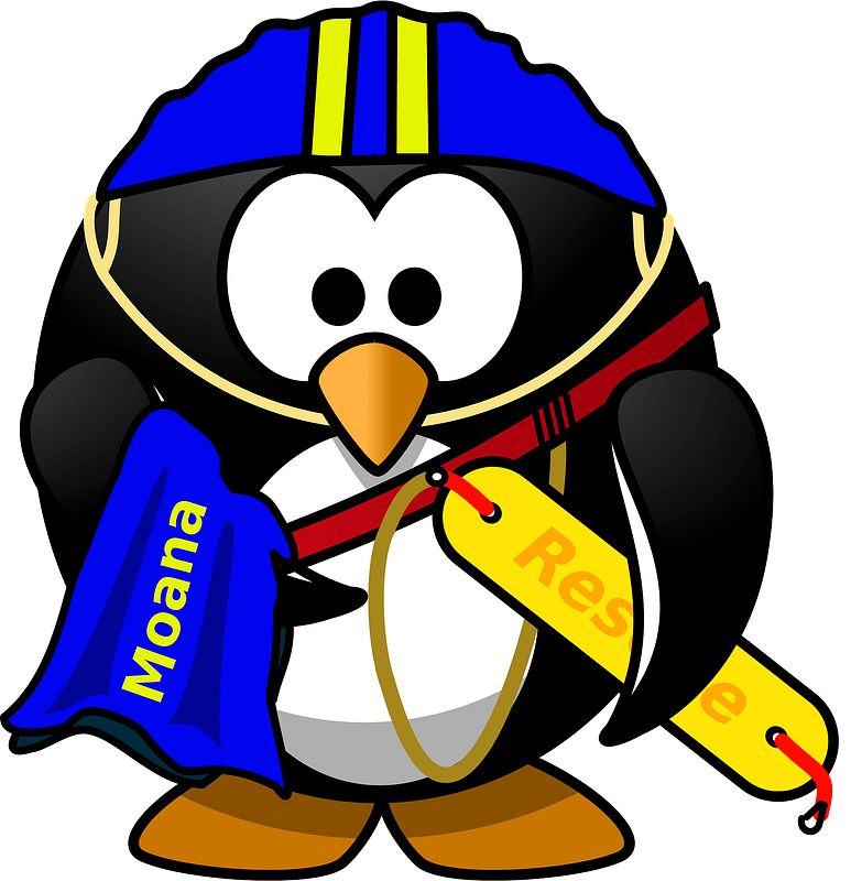 Life saver penguin