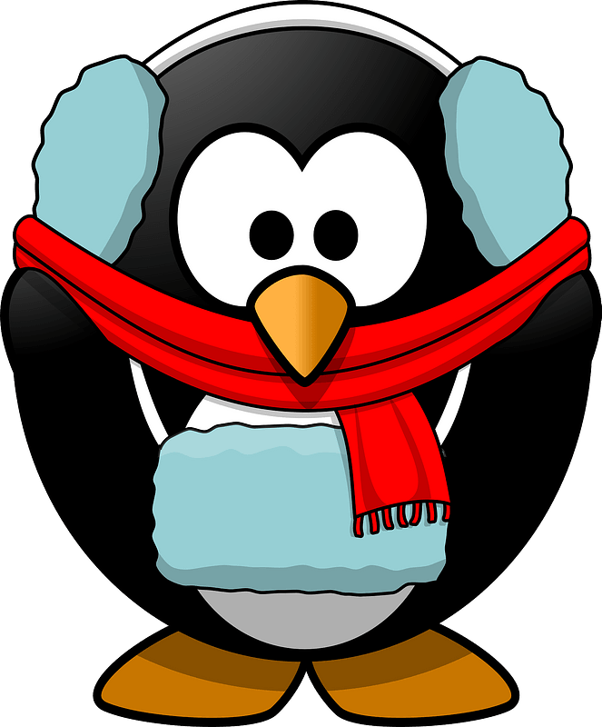 Penguin in winter wear