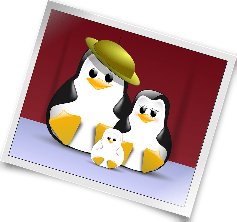 Penguin family photo