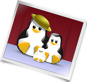 Penguin family photo