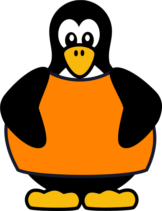 Penguin in orange T-shirt