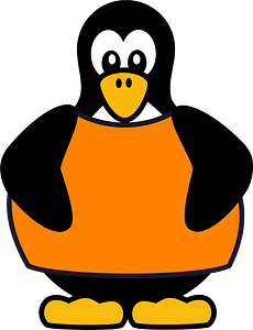 Penguin in orange T-shirt