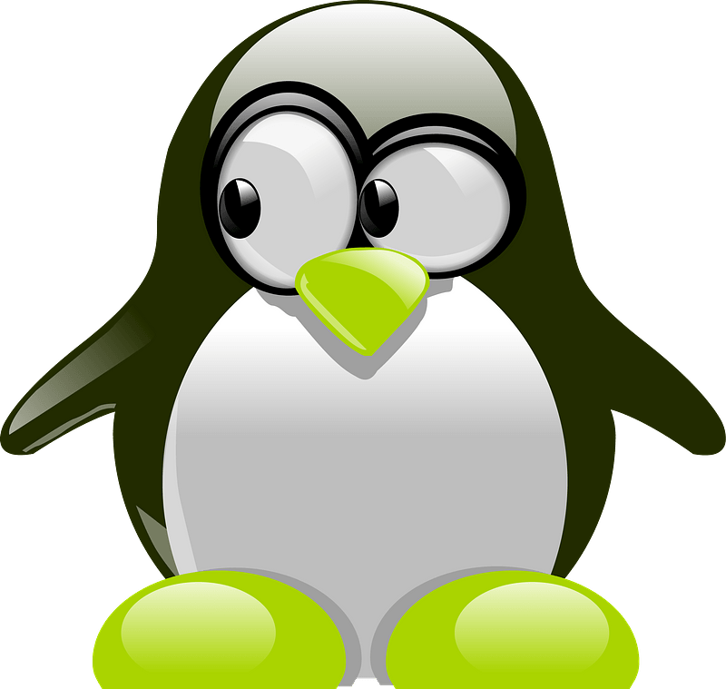 Penguin looking towards