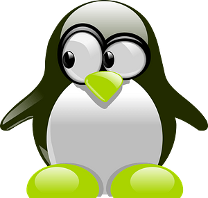 Penguin looking towards