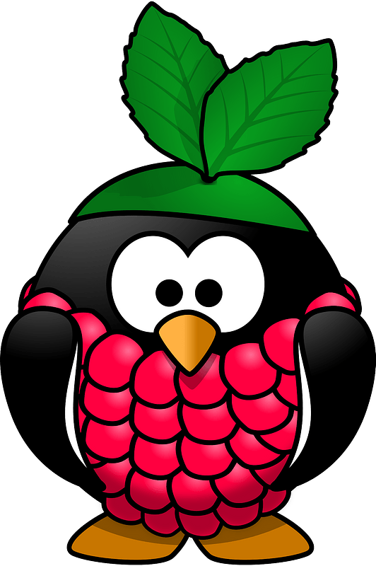 Raspberry penguin