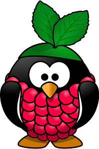 Raspberry penguin