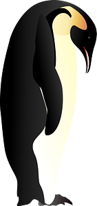 Penguin looking down