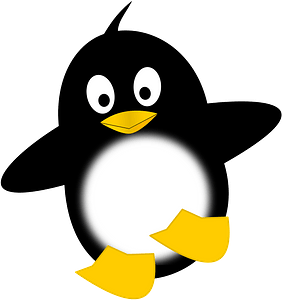 Little funny penguin