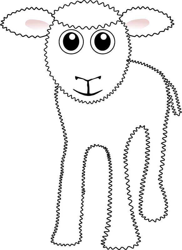 Cute sheep