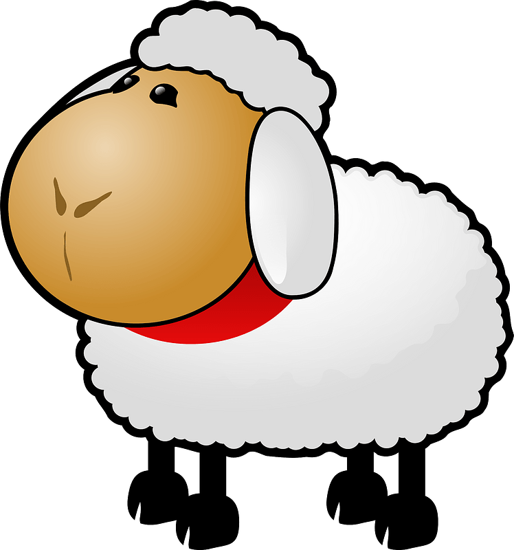 White sheep with Red Ribbon Throat