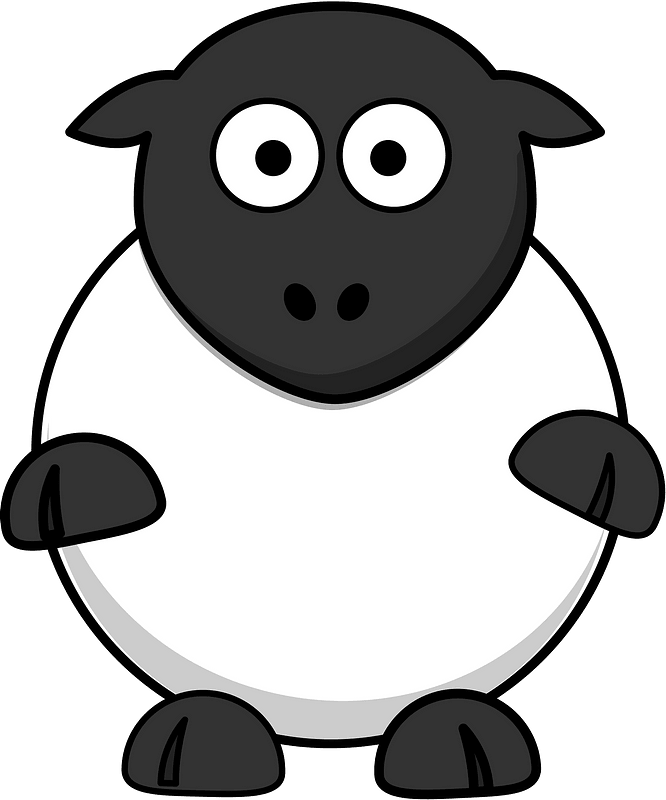 Funny sheep