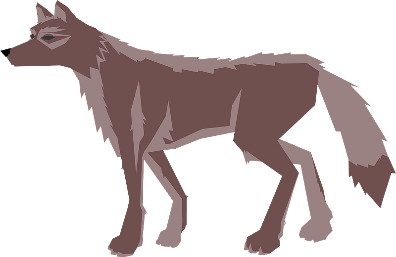 Brown wolf