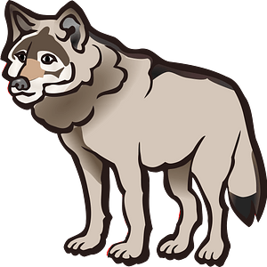 Wolf