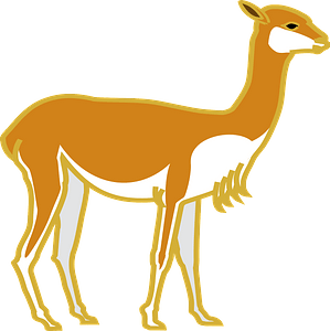 Alpaca