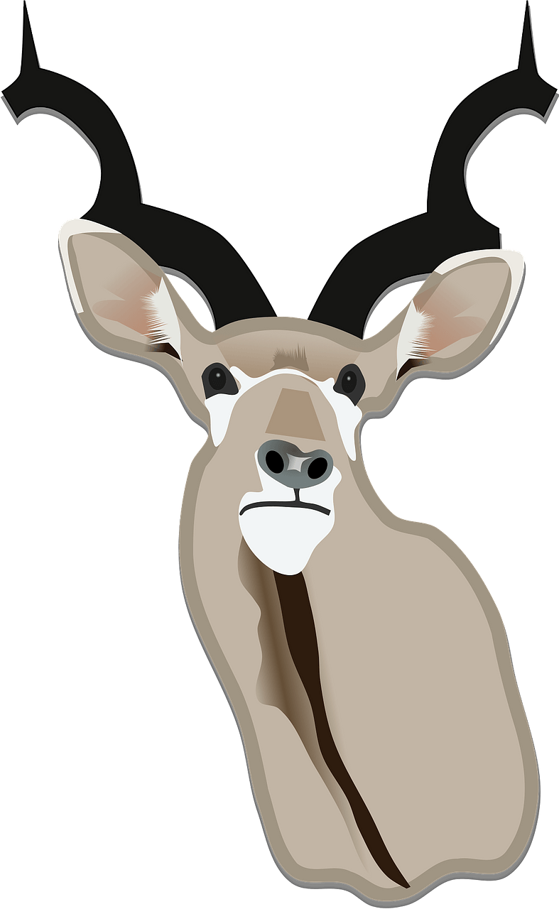 Hunting trophy deer