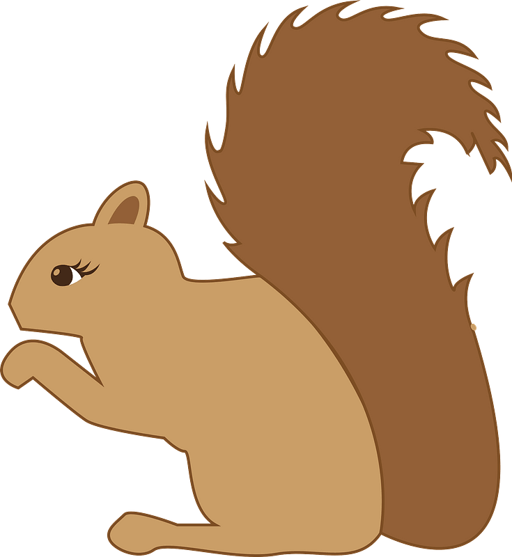 Білка
