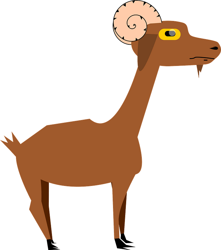 Goat Drawing