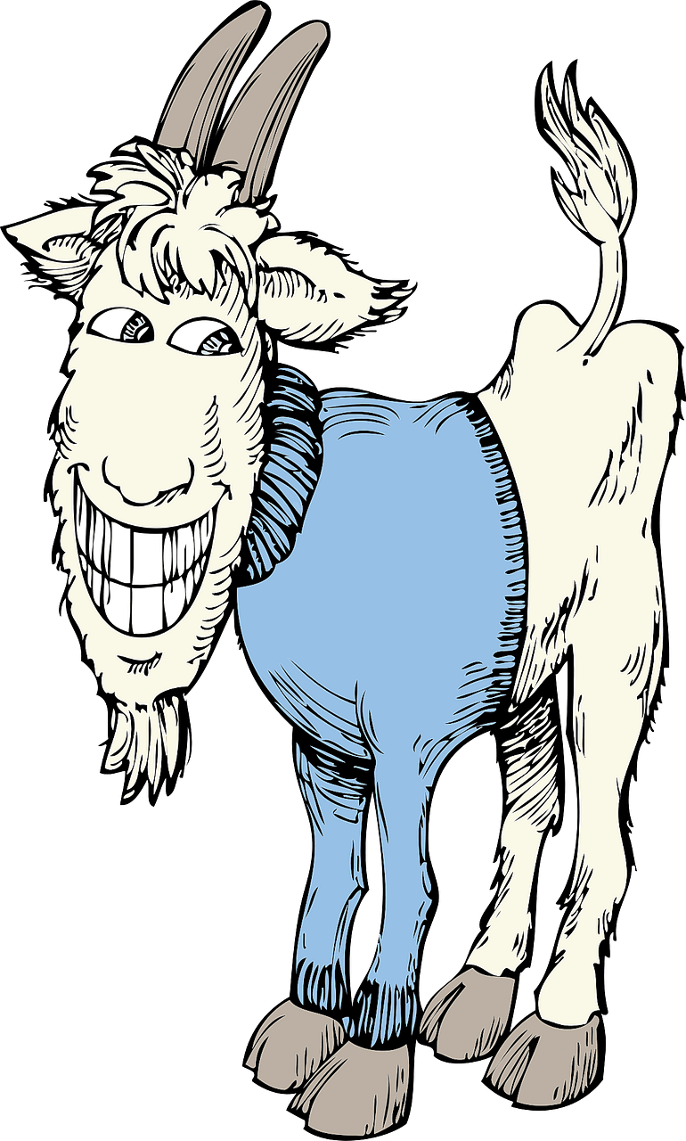 Goat in blue sweater