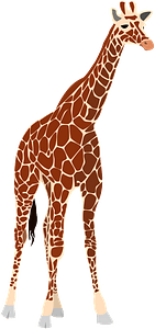 Giraffa