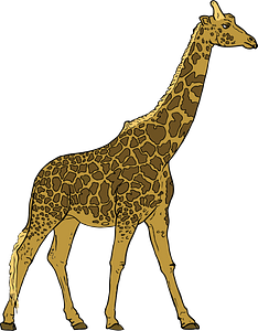 Giraffa